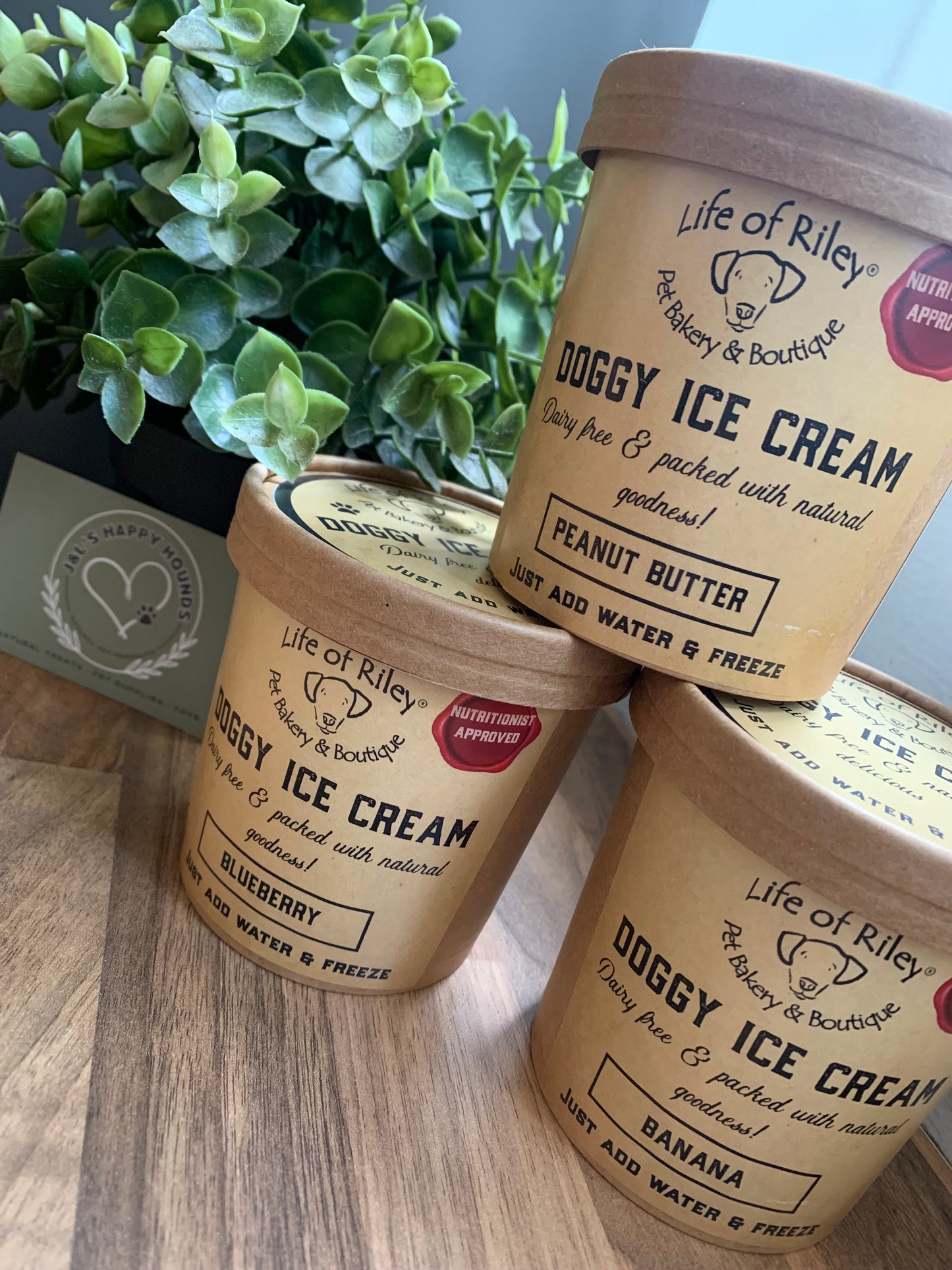 Dog Ice Cream Kit